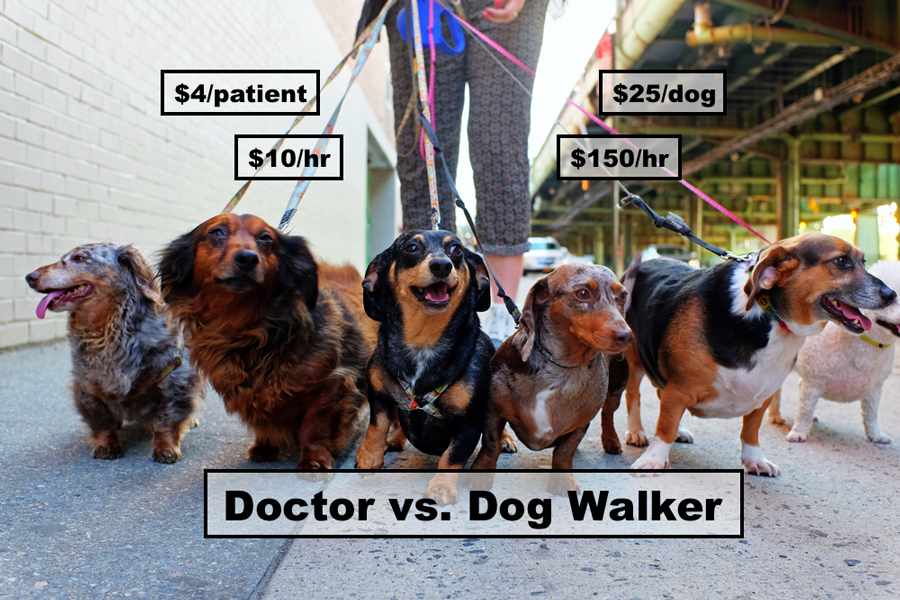 Doctor-Earns-More-As-Dog-Walker